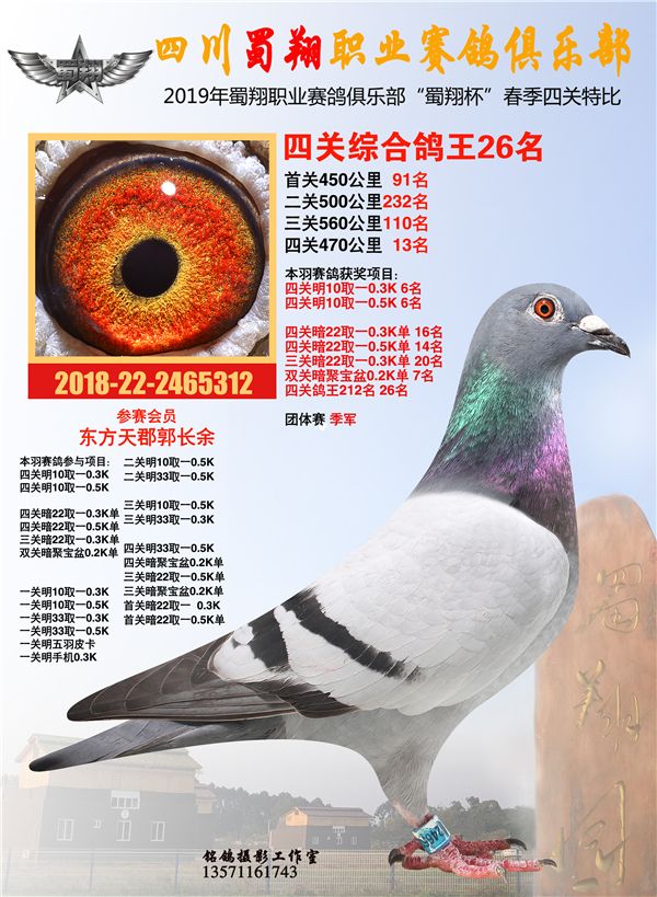 东方不败_东方天郡鸽业_ ag188.com爱鸽商城_中国信鸽