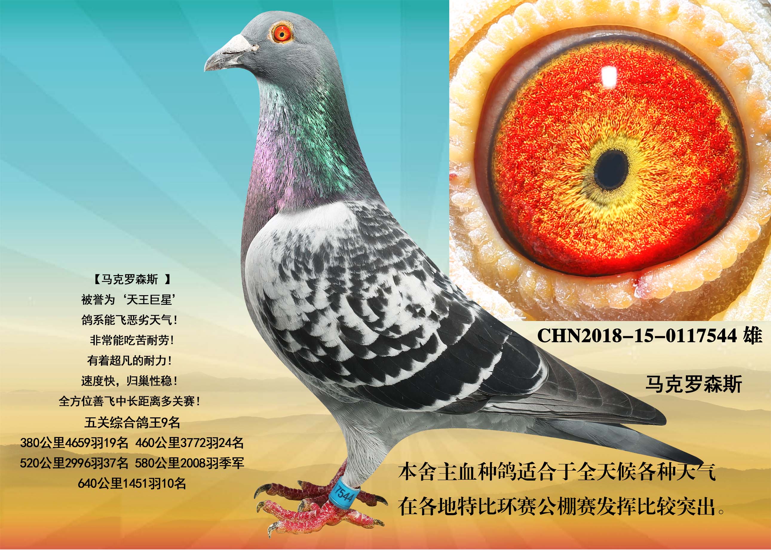 马克罗森斯