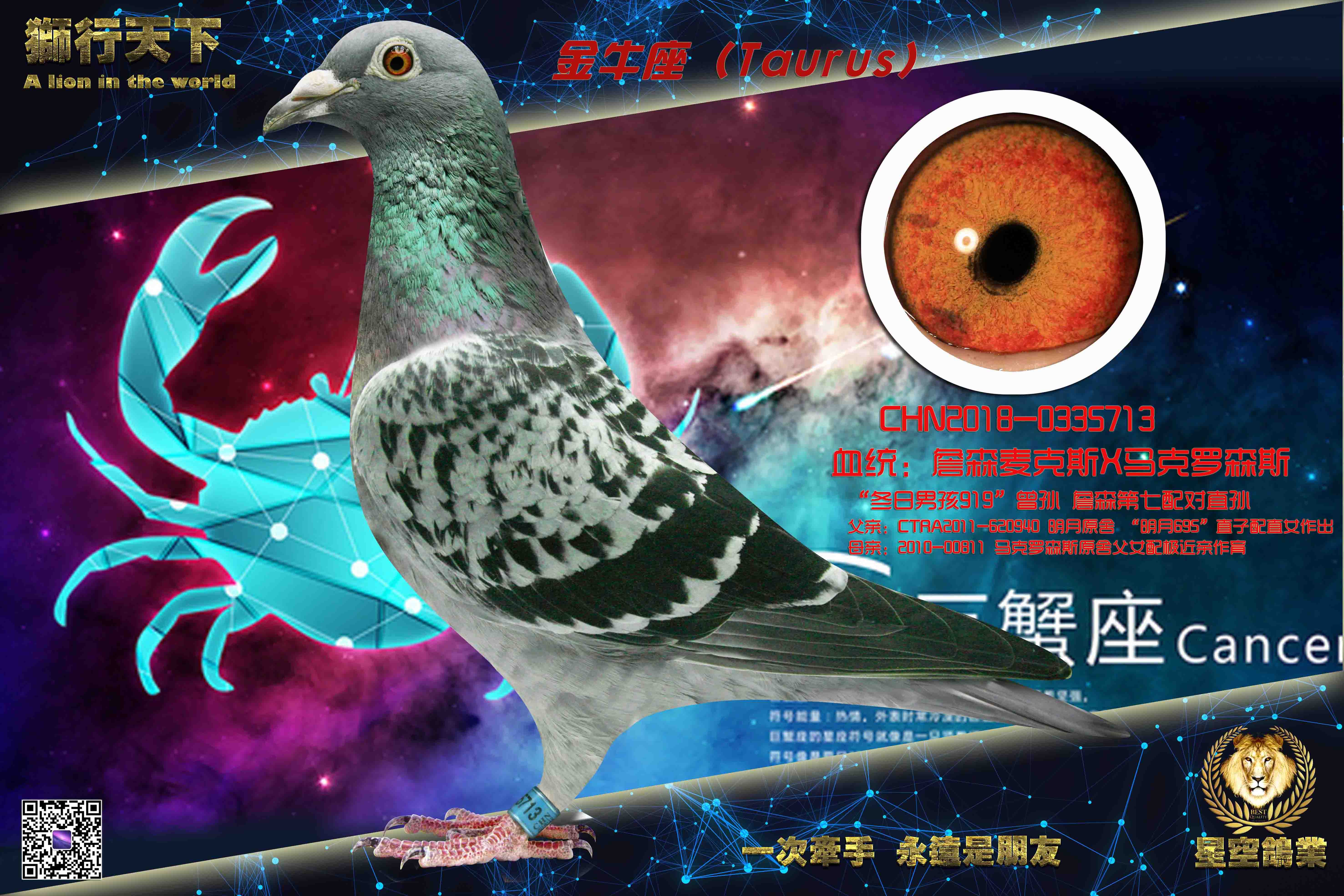 ��ţ��713��695ղɭX������ɭ˹��