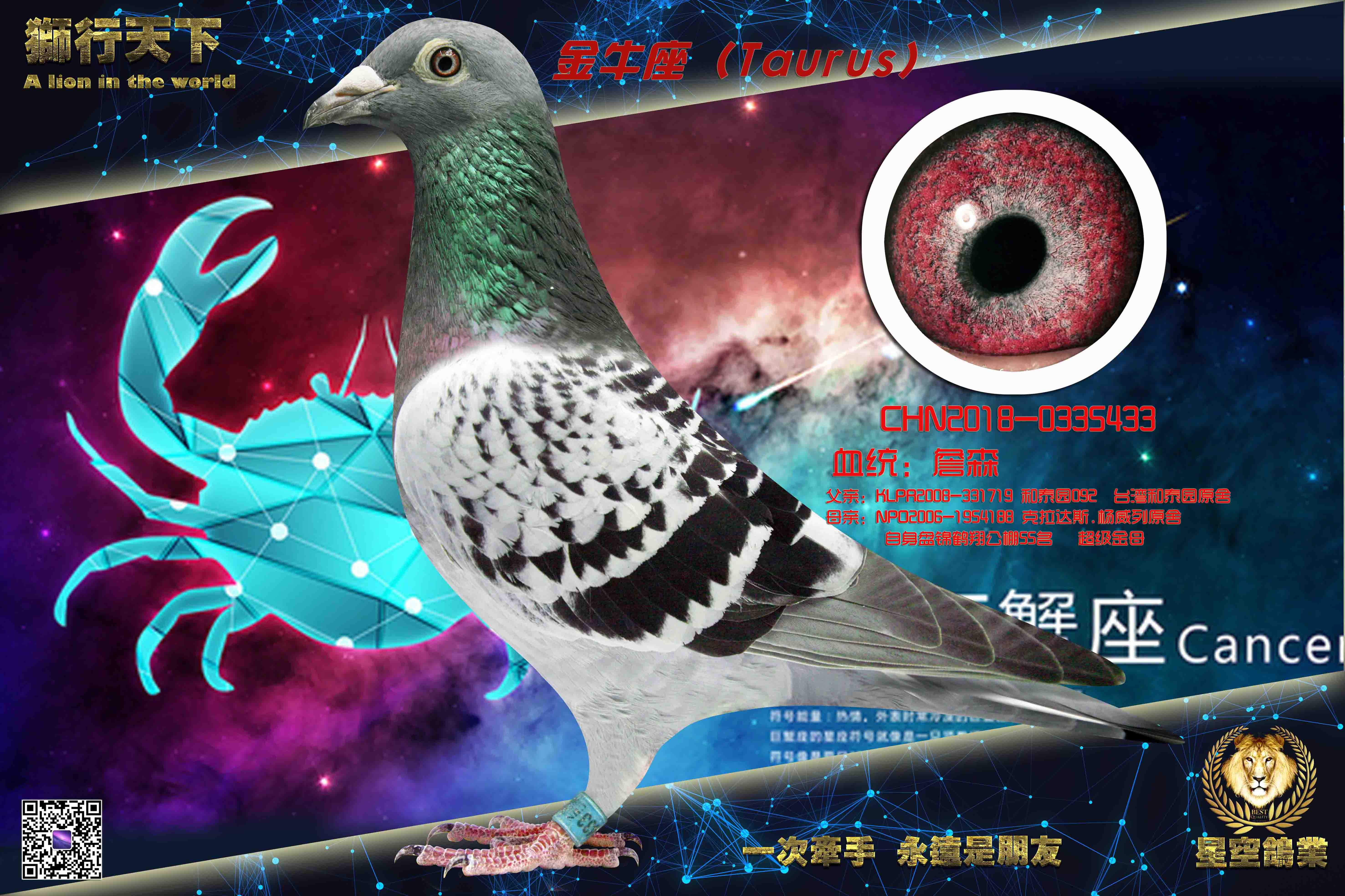 ��ţ��433��ղɭ���ع�X�����ˣ�