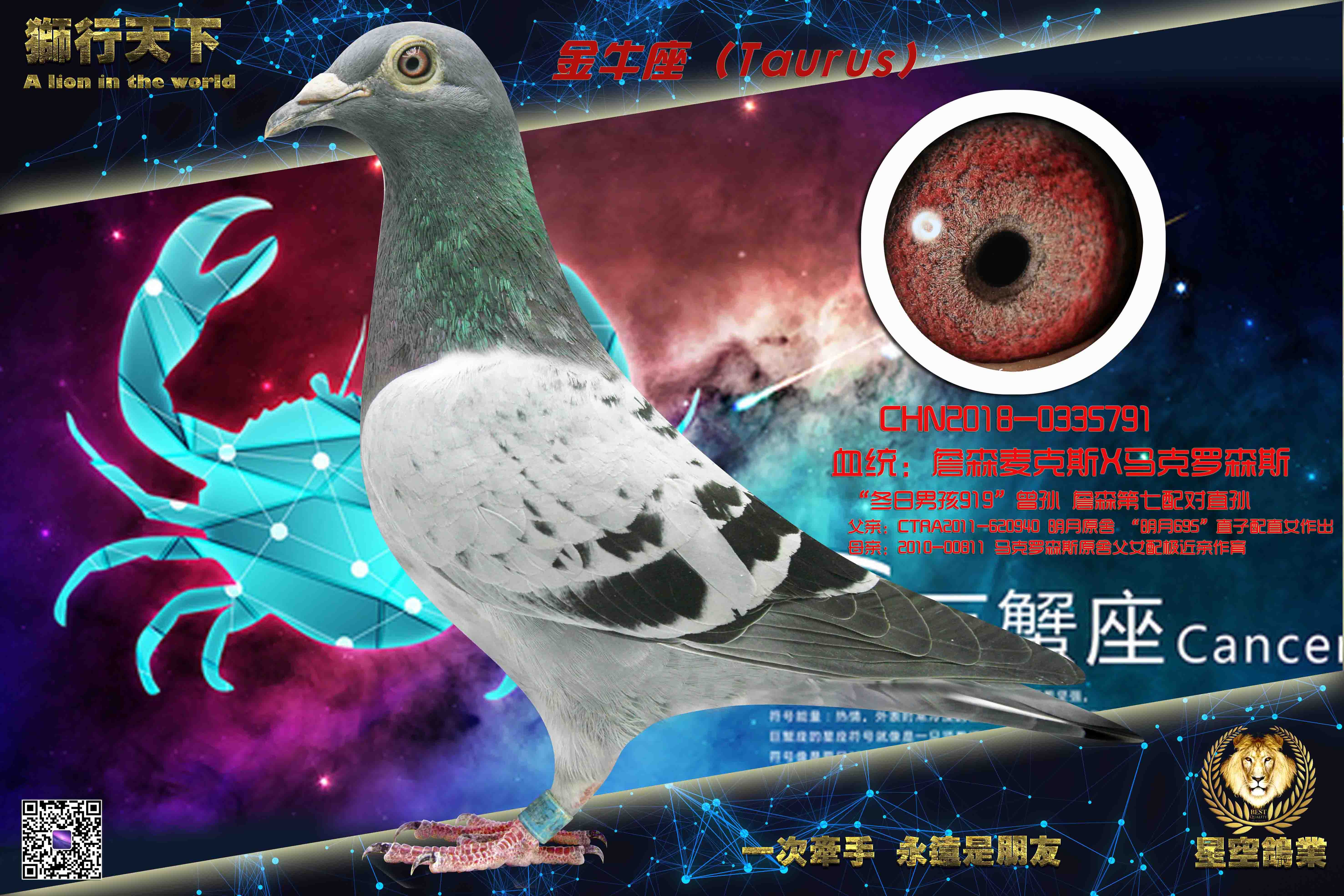 ��ţ��791��695ղɭX������ɭ˹��