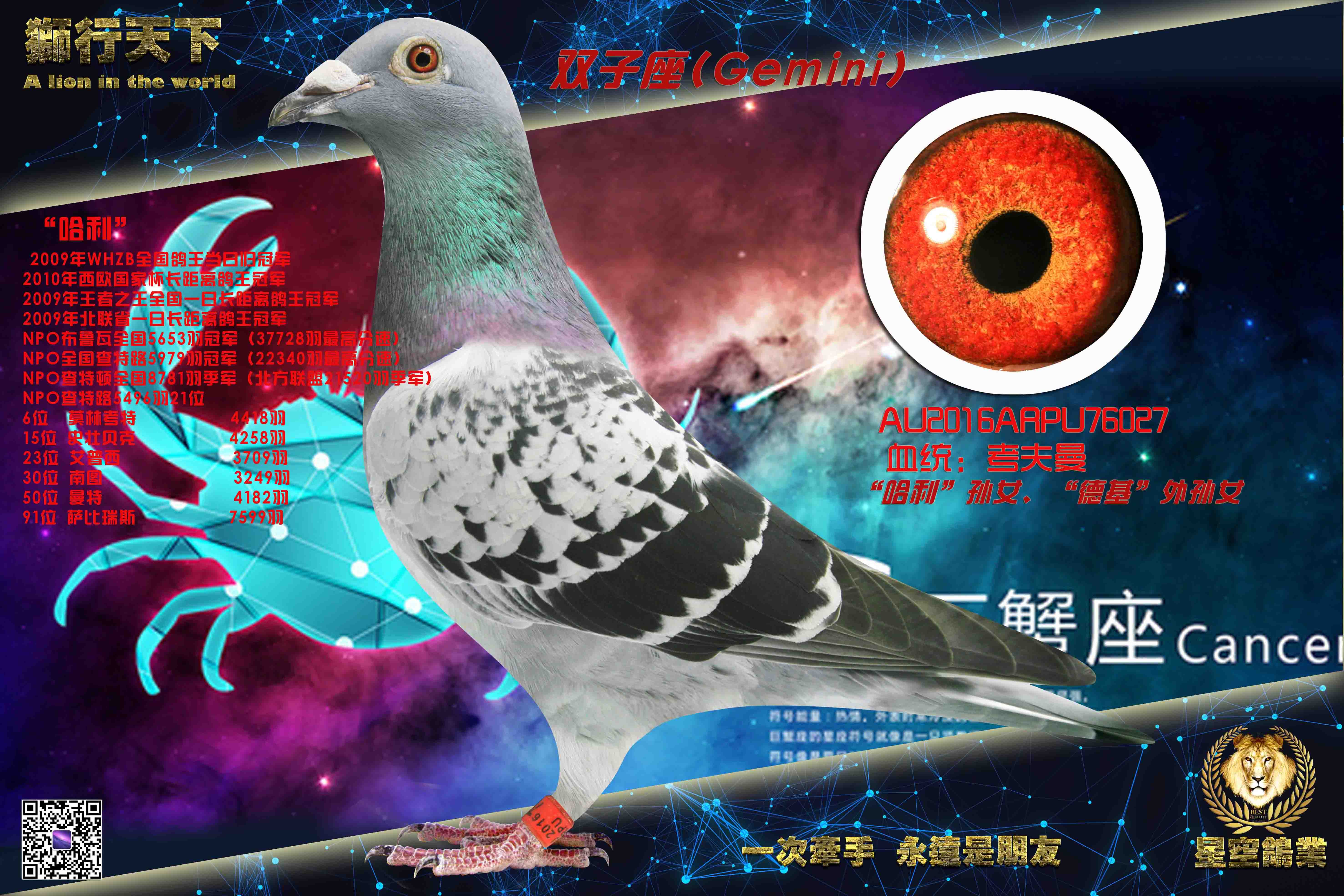 ˫����������������Ů027��