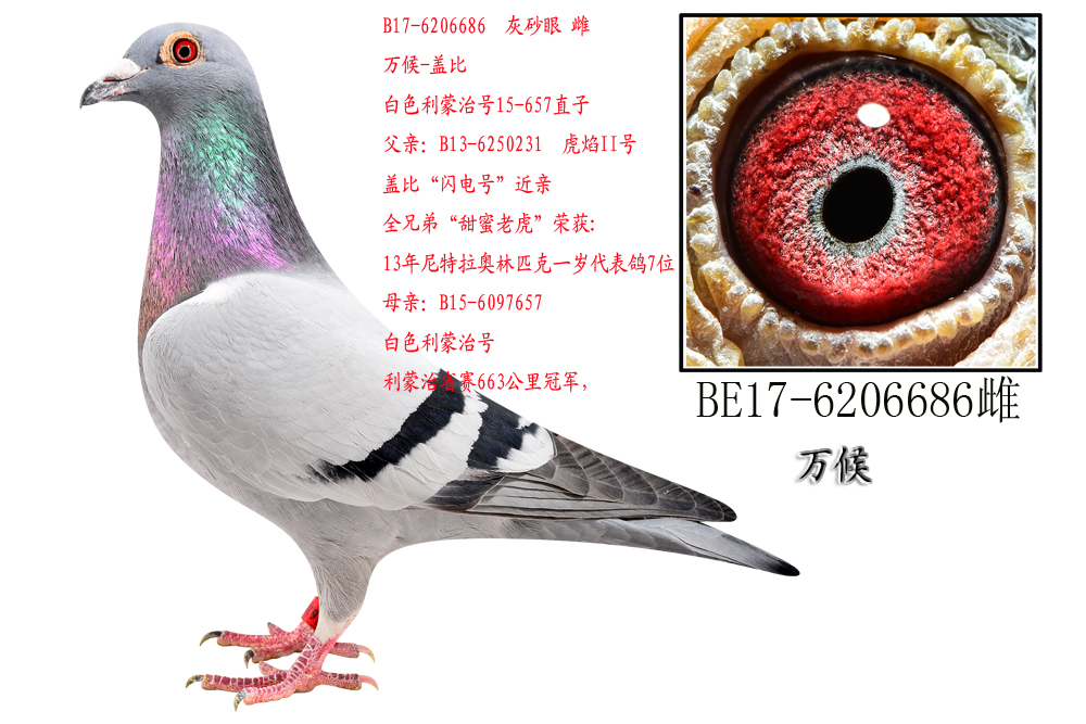 ɫֱ̖Ů
