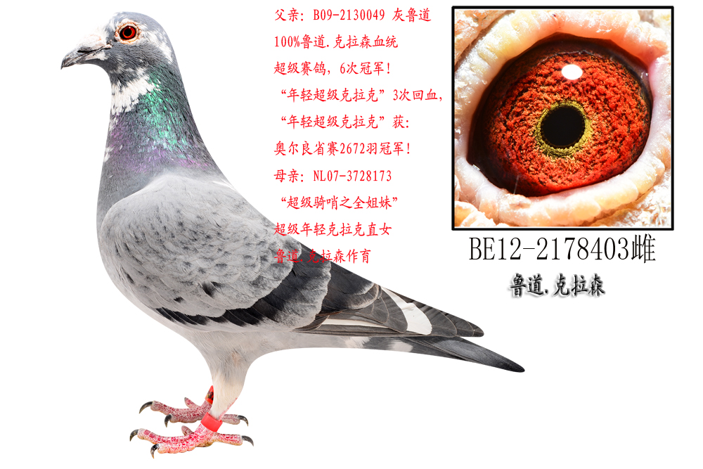 pˡѪ