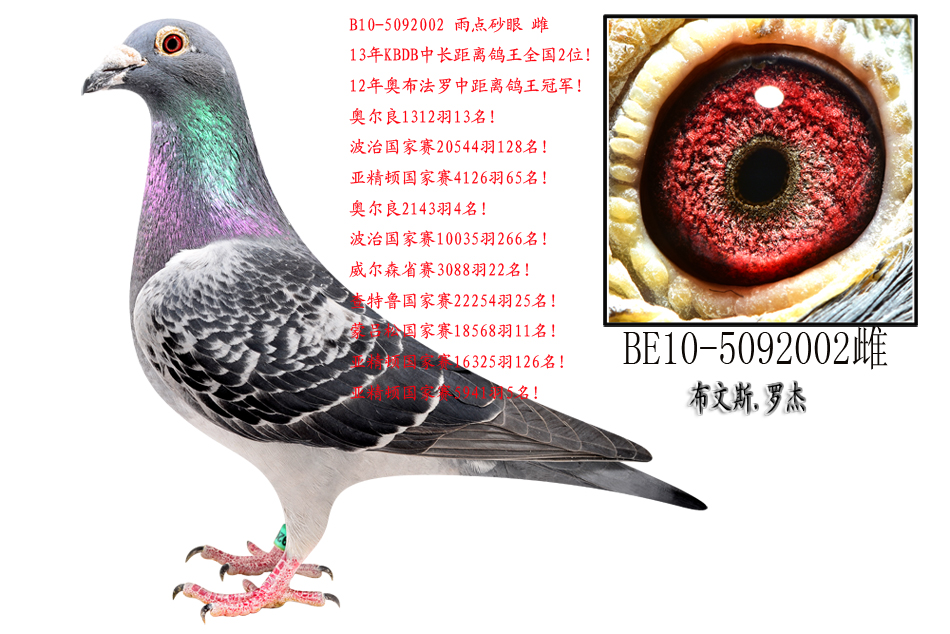 KBDB ܊