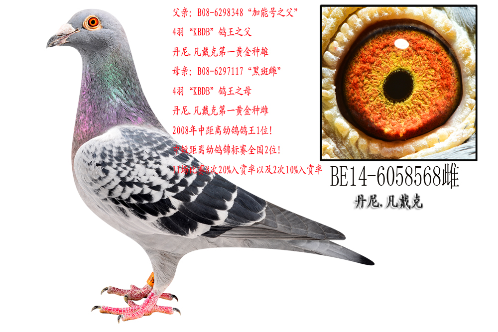 ̖ȫ