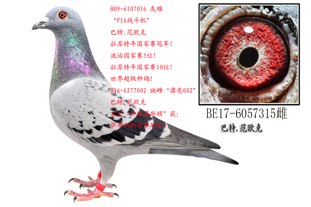 F16 (zhn)C(j)ֱŮ