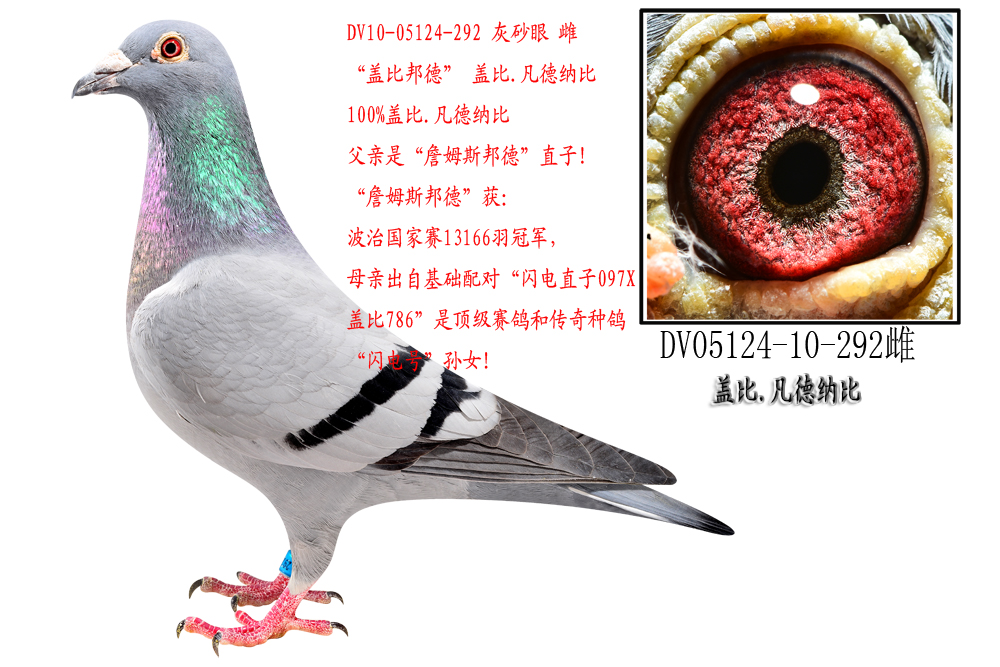 ղķ˹¡ֱOŮ