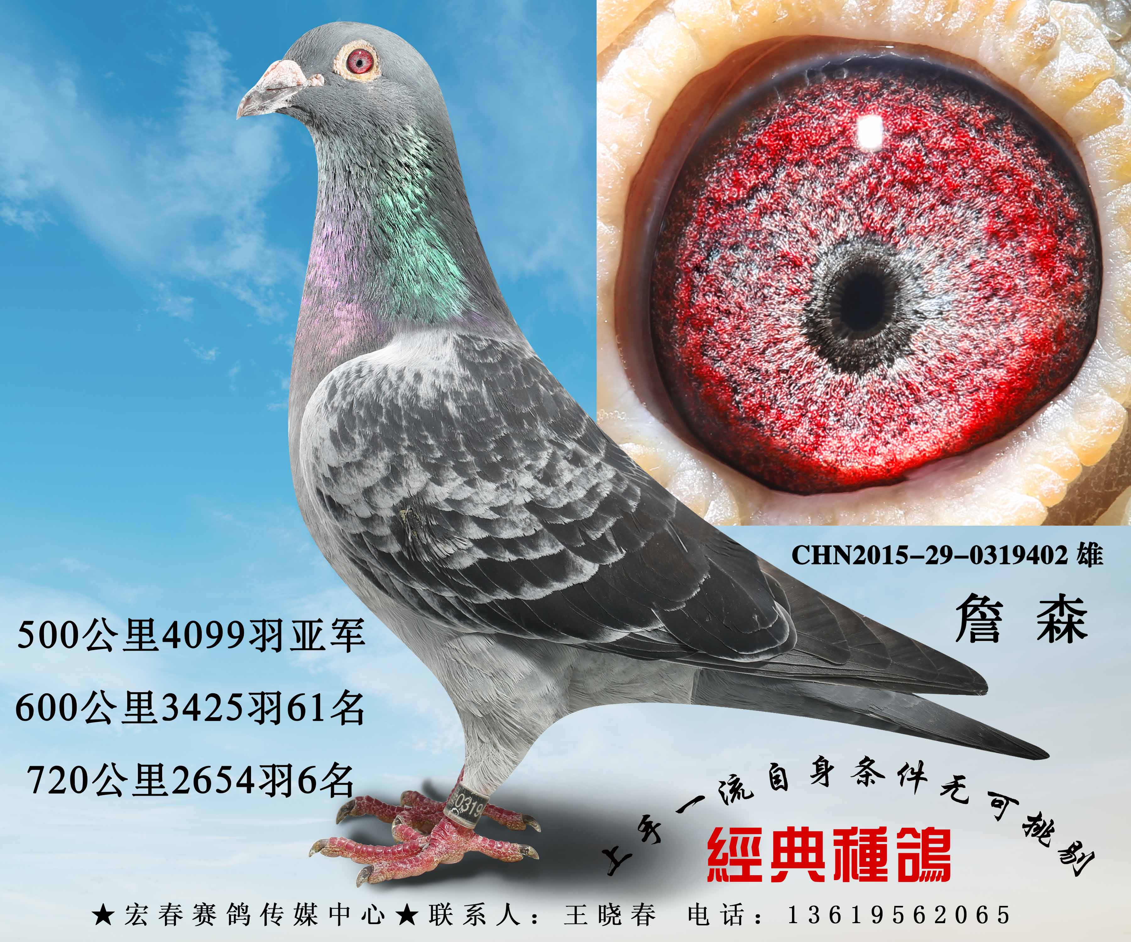H65457286172.jpg