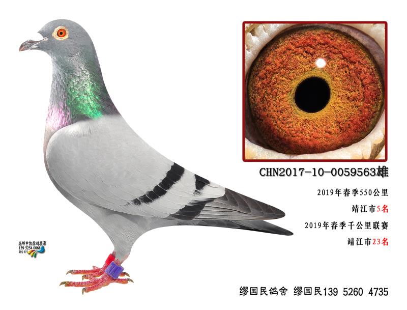 2019(yu)563