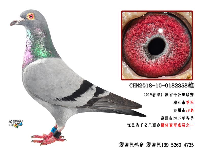 2019괺ǧ＾܊358