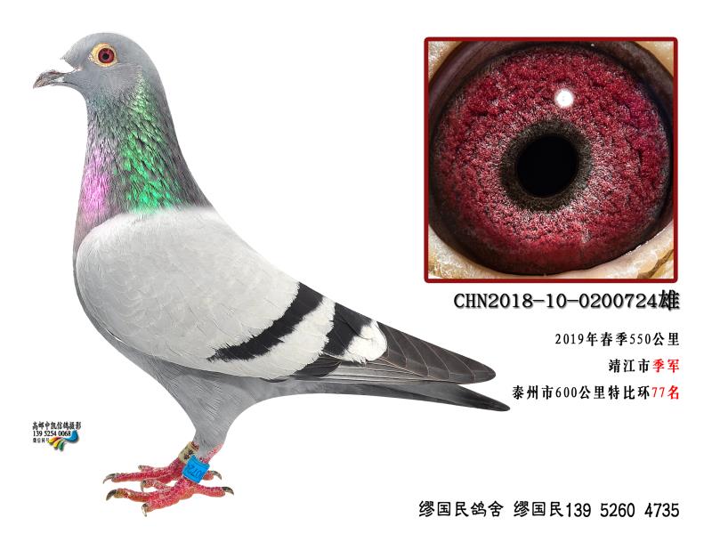 2019괺f(xi)550＾܊