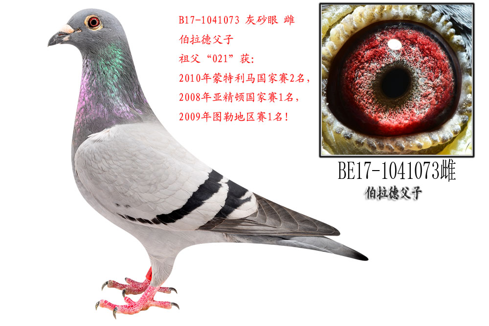 R(gu)ِ2OŮ