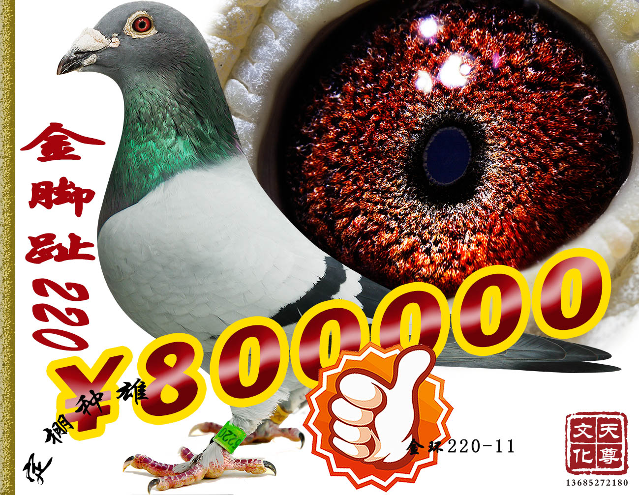 _ֺ      ̖220-11