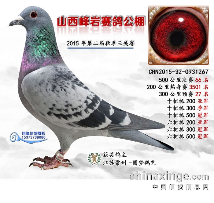 ӡnC      ̖267-15