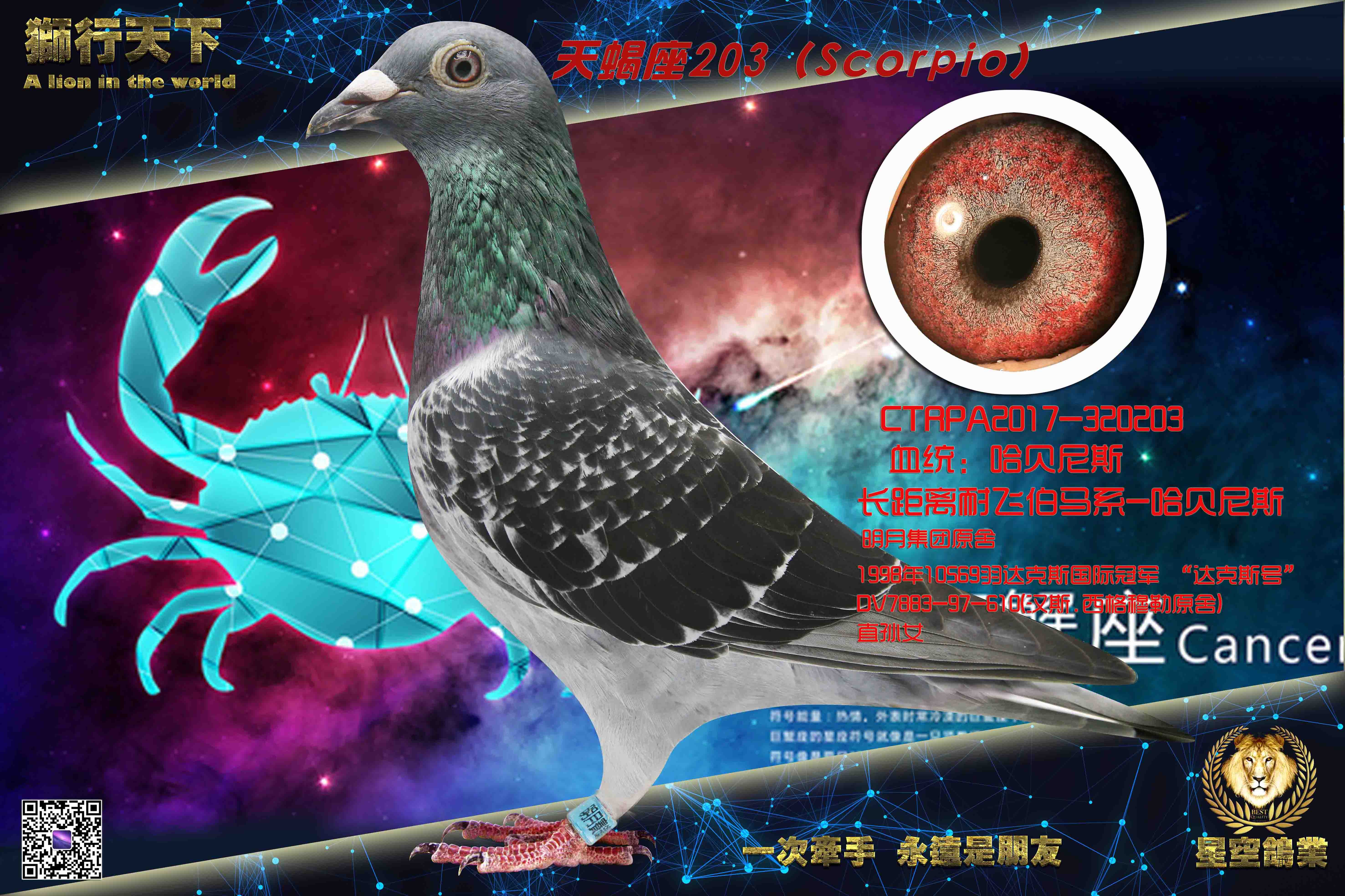 ��Ы����������˹203��