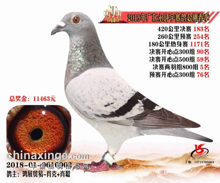 2019�괺���㶫���������183��