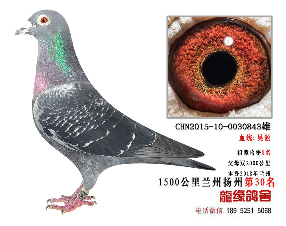 18m30uƷ