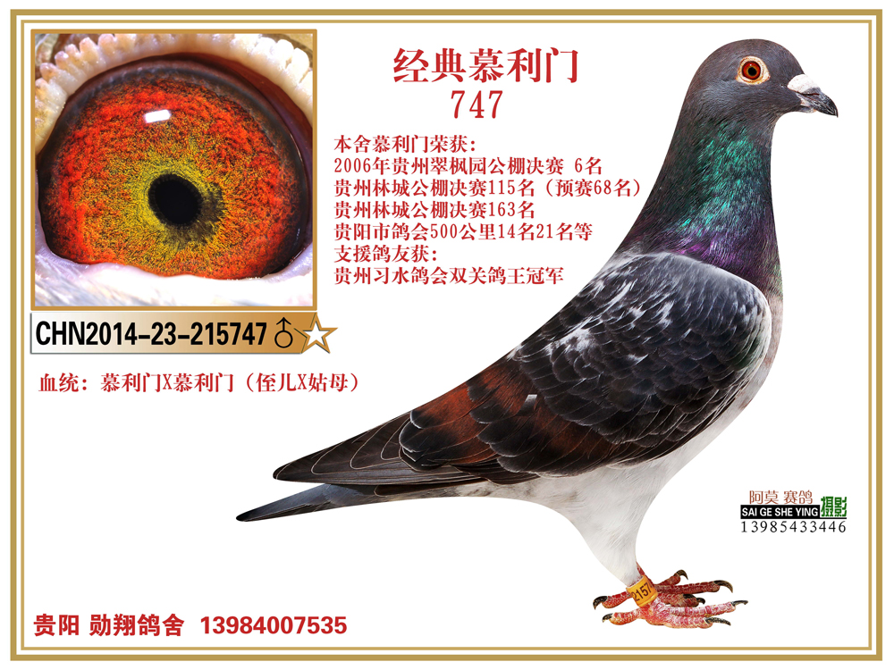 经典慕利门系.