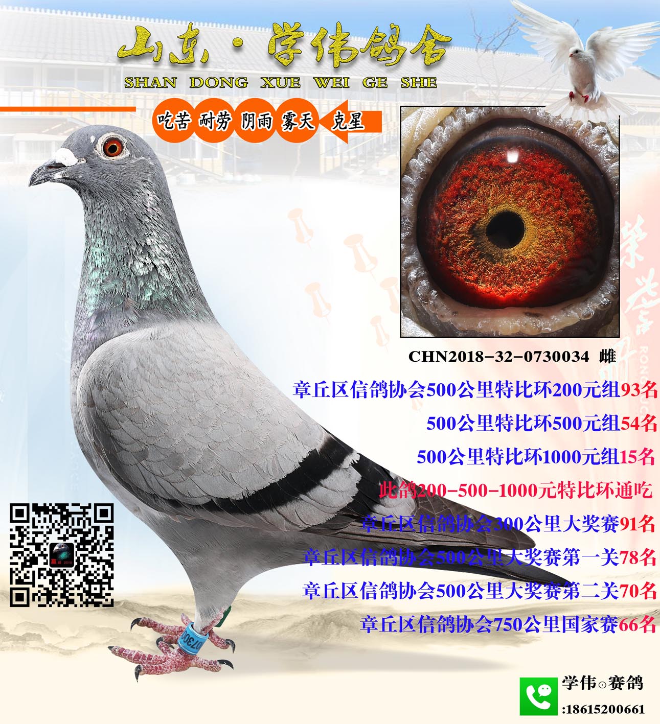 ر̖ͨ