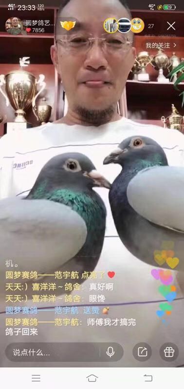 Ů
