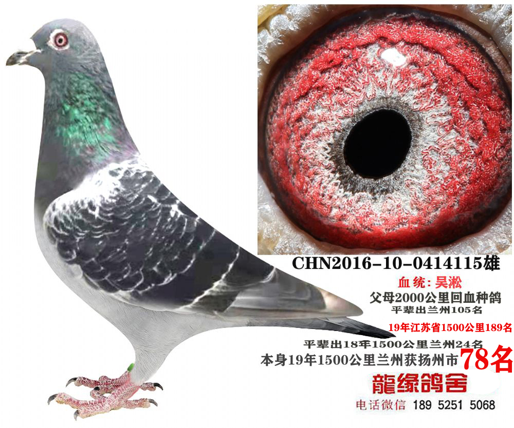 uƷm78