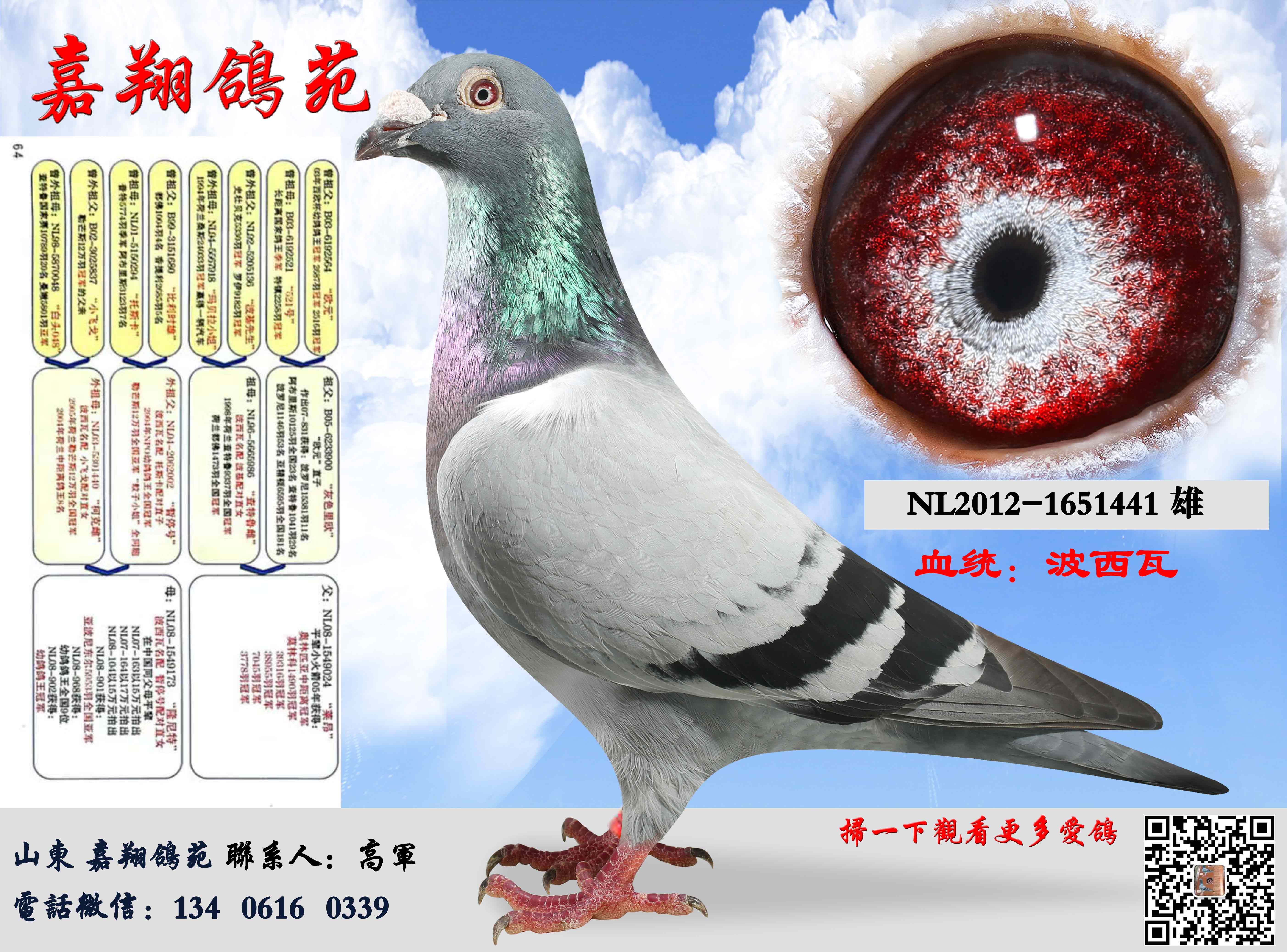 波西瓦