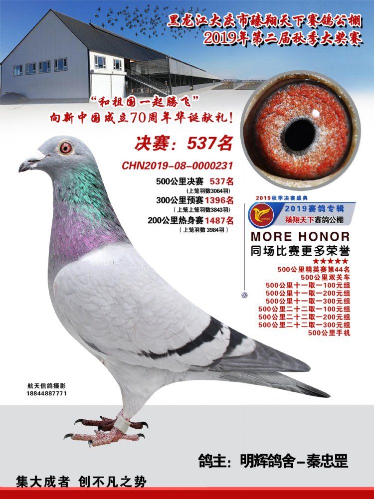 2019年公棚成绩鸽