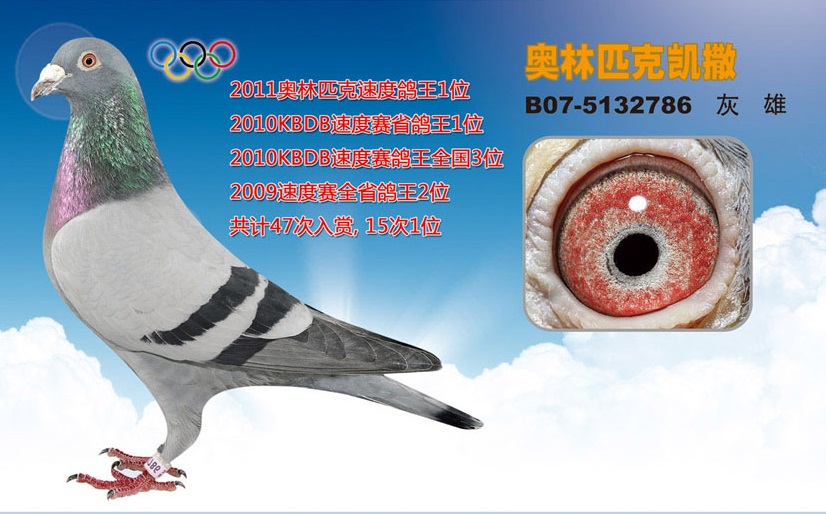 H23314122782.jpg