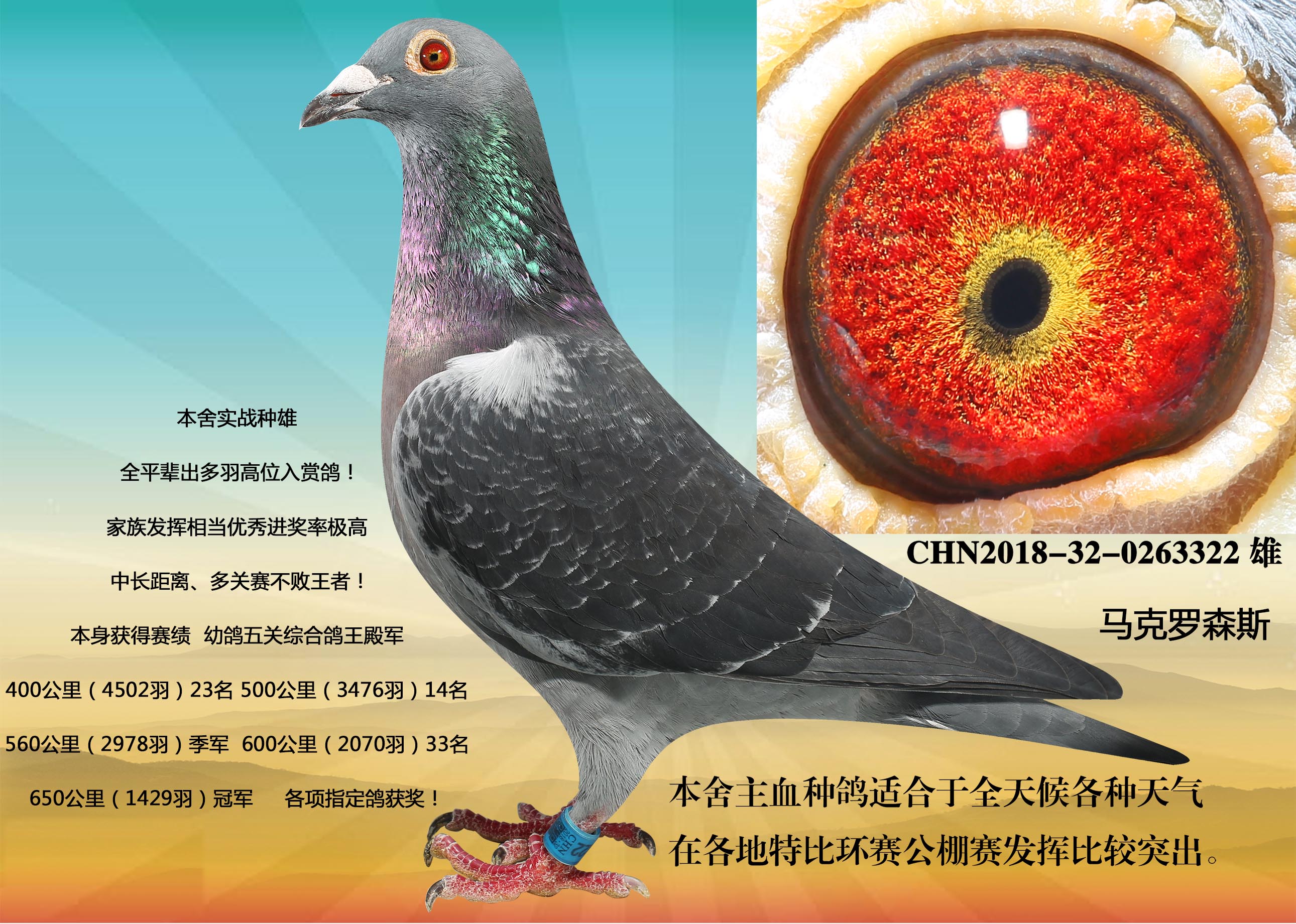 马克罗森斯