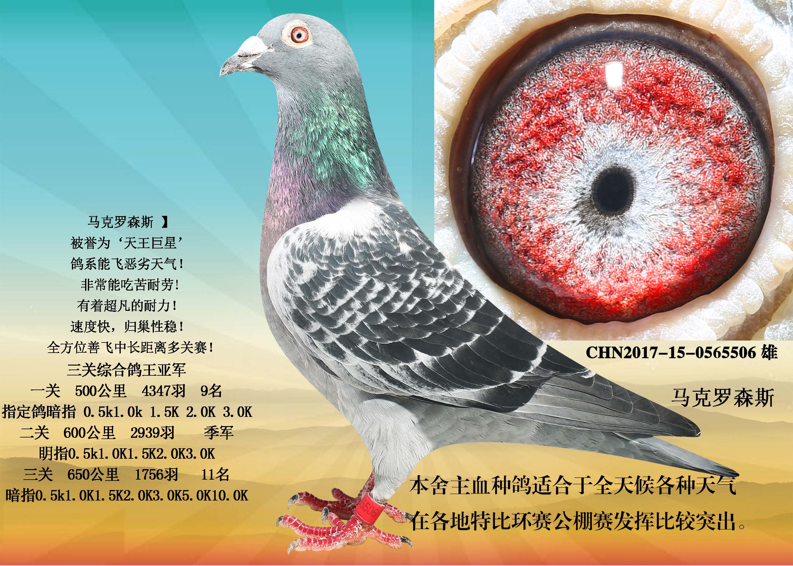 马克罗森斯