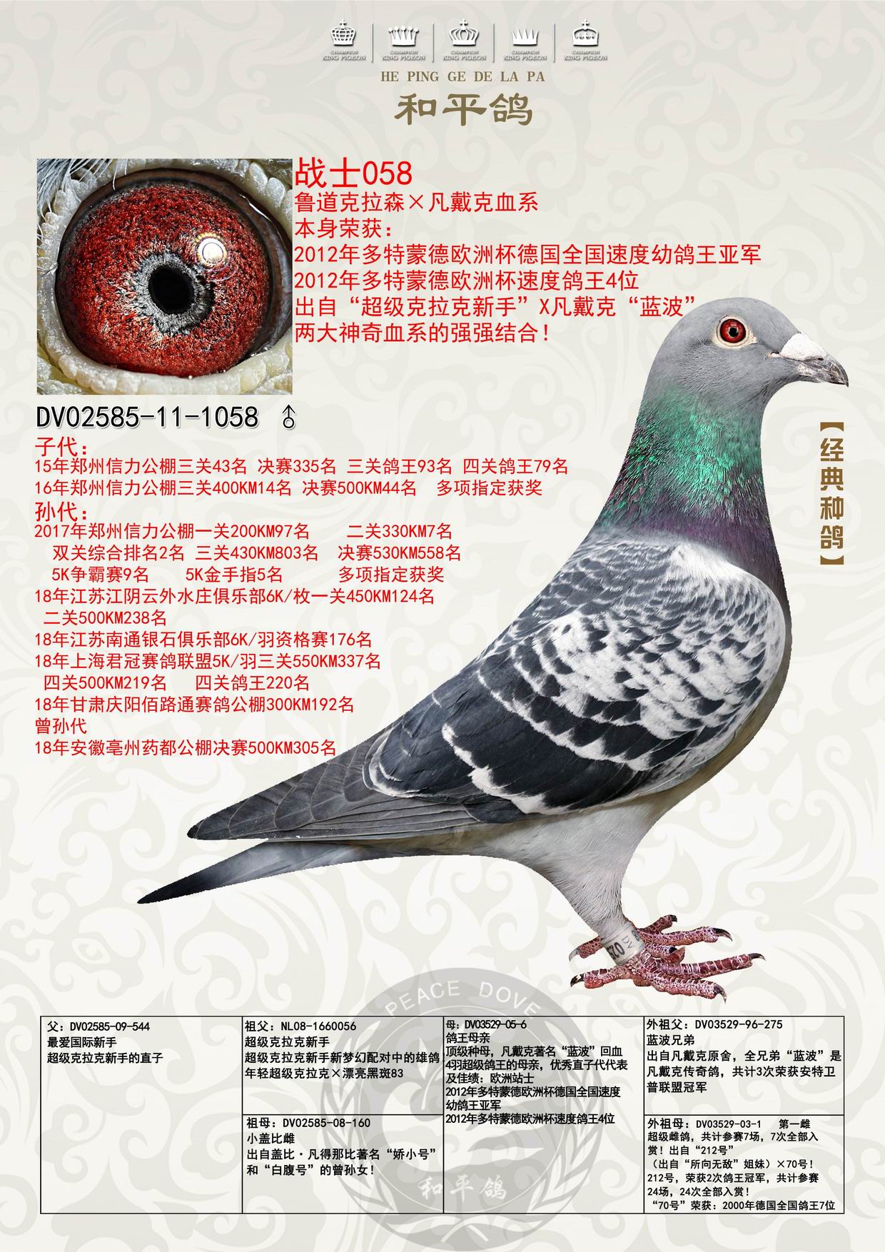 战士(鲁道克拉森血系)