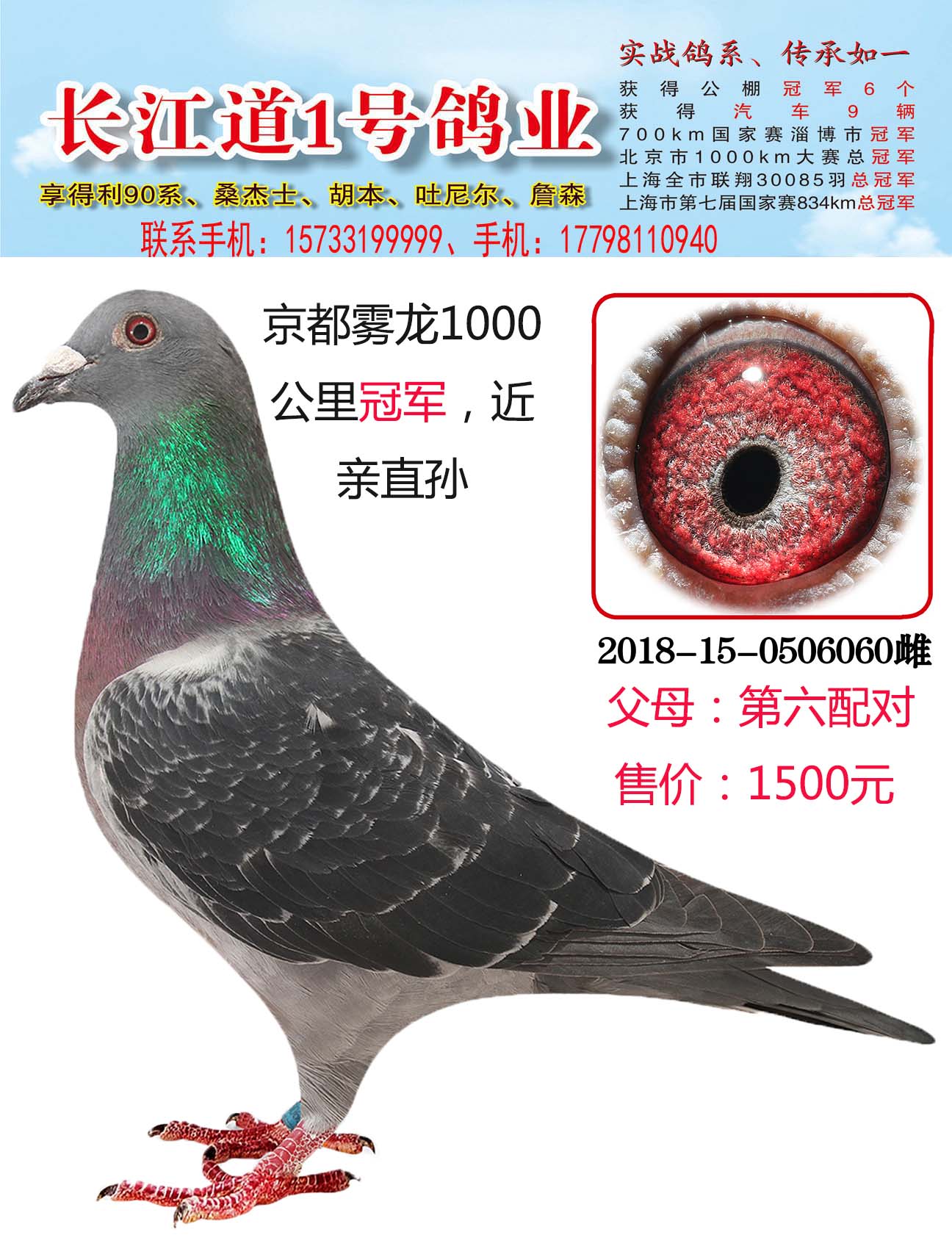 H48733035306.jpg