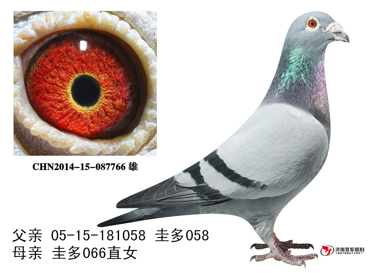 058ֱ087766