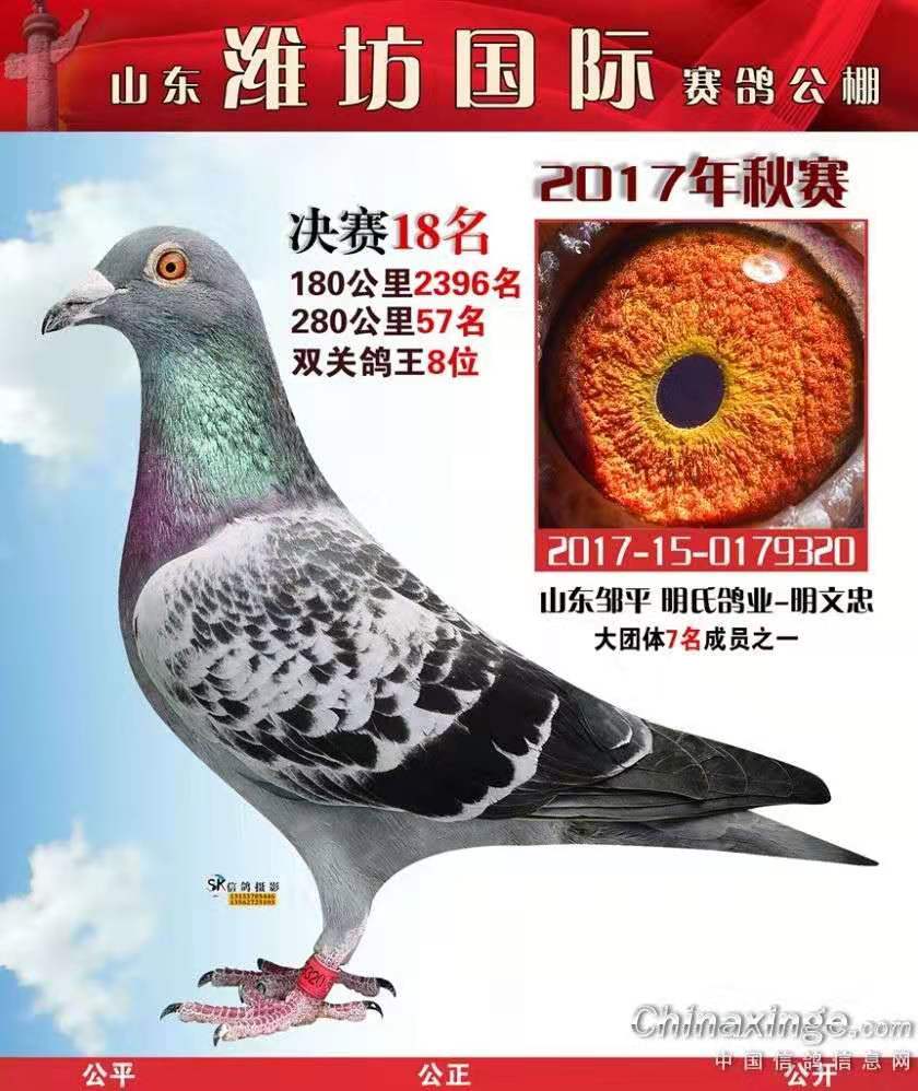 马克罗森斯配东方不败