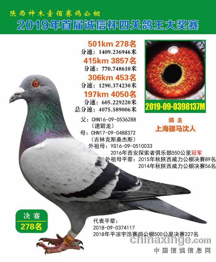 R8137