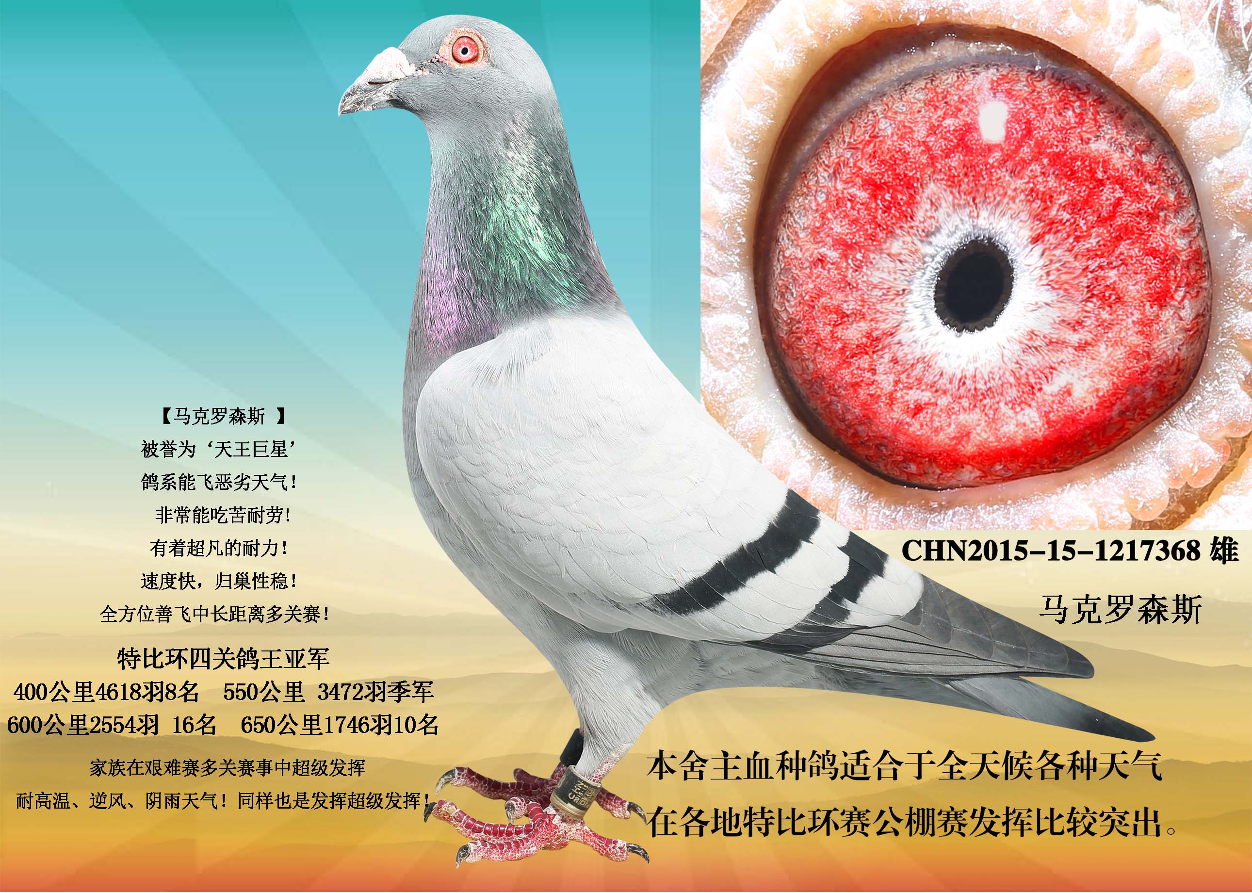 马克罗森斯