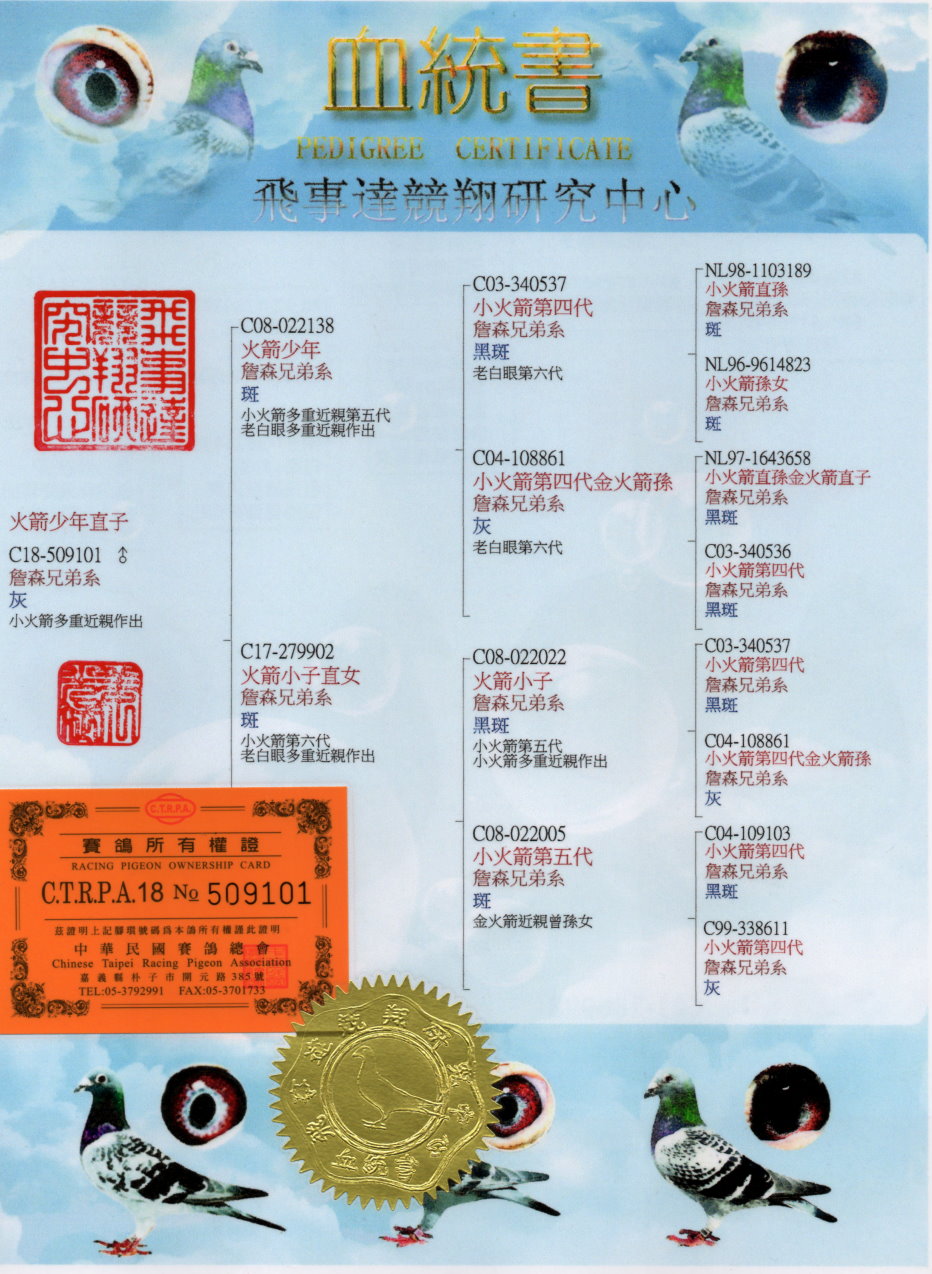 詹森兄弟小火箭101