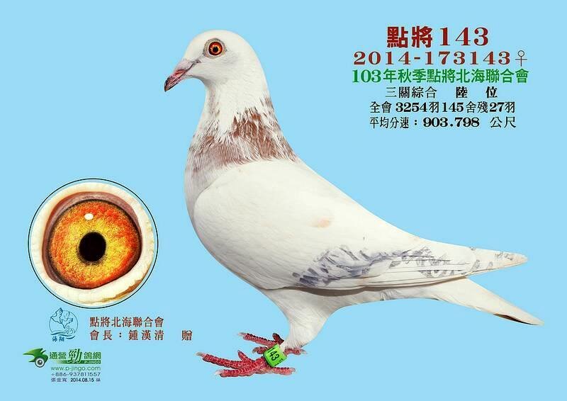 波拉5000-545-飞事达广东研究中心-中信网爱鸽商城