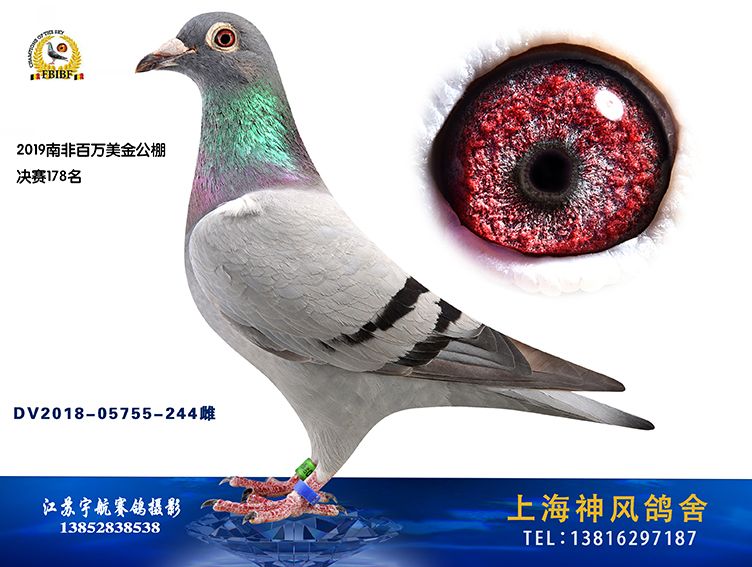 2019ϷǰfQِ178