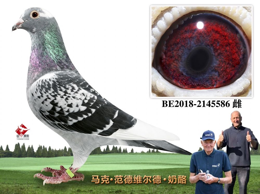 1-BE2018-2145586
