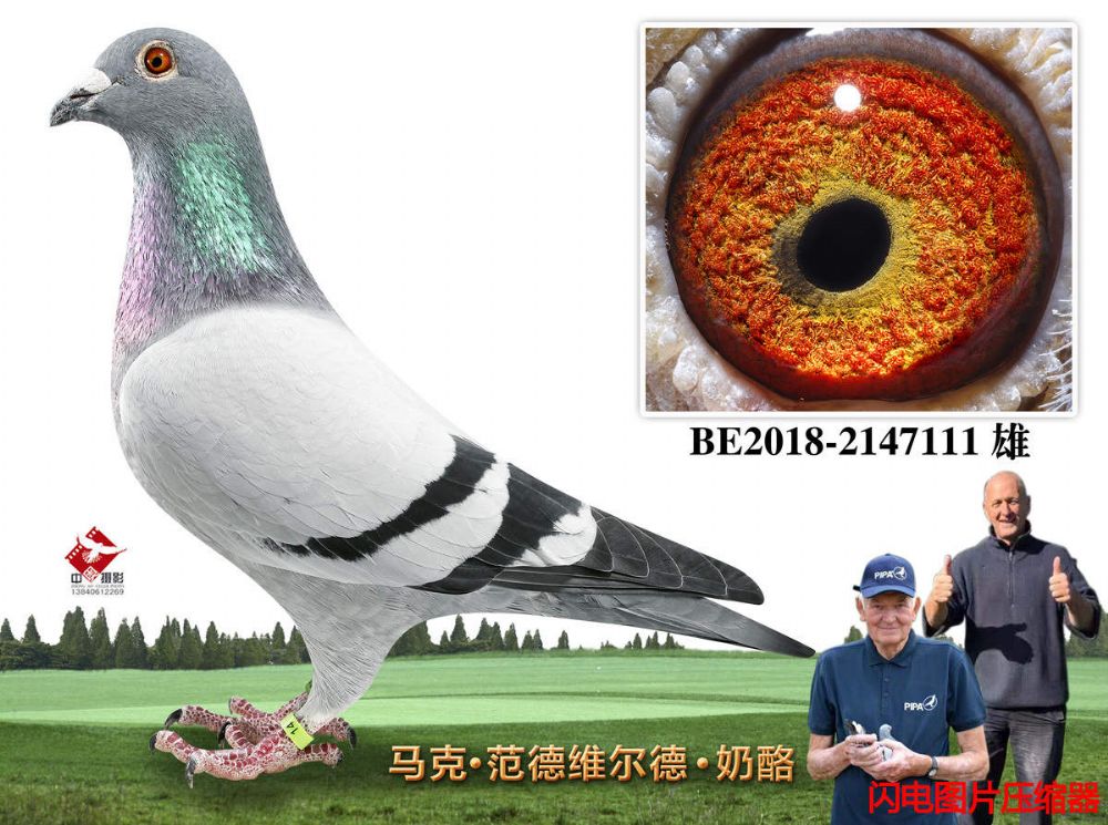 2-BE2018-2147111