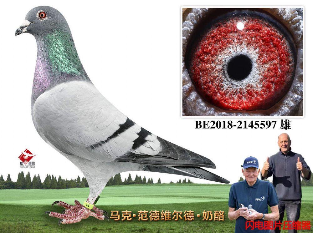 3-BE2018-2145597