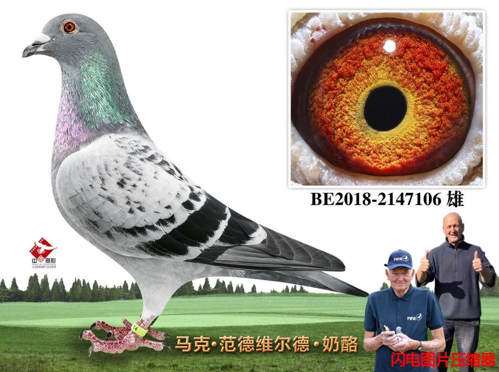 4-BE2018-2147106