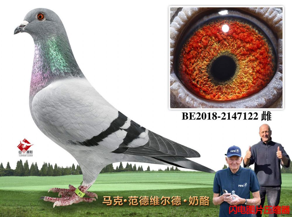 5-BE2018-2147122