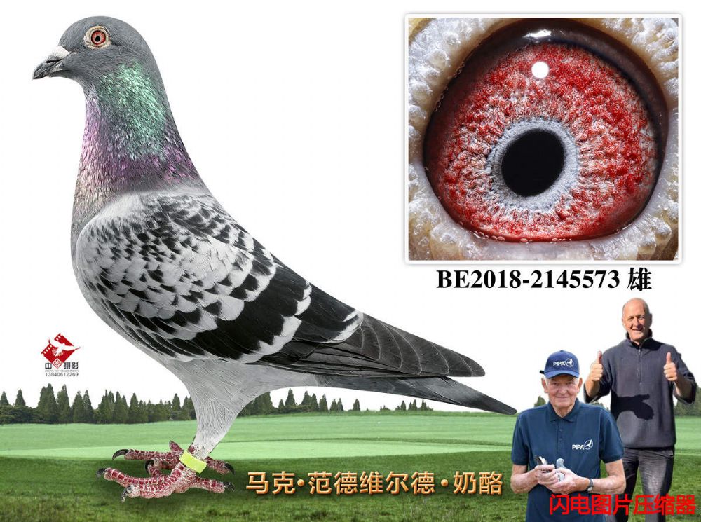6-BE2018-2145573