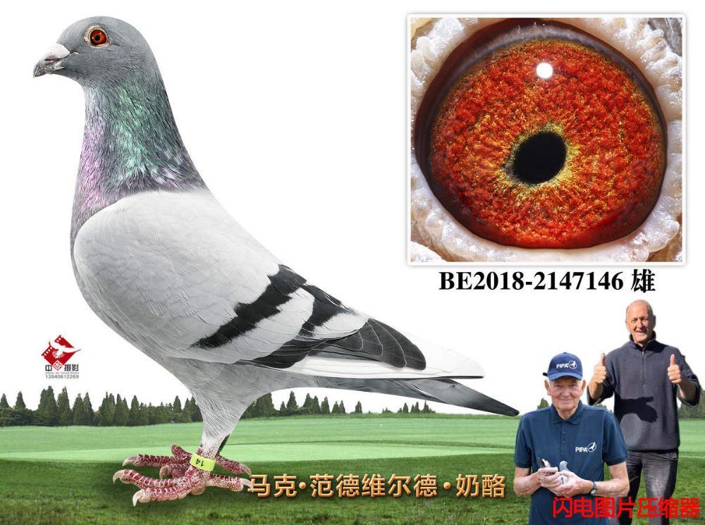 7-BE2018-2147146