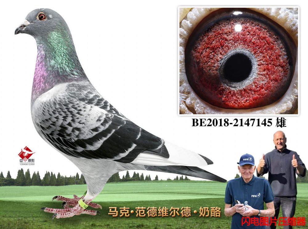 8-BE2018-2147145