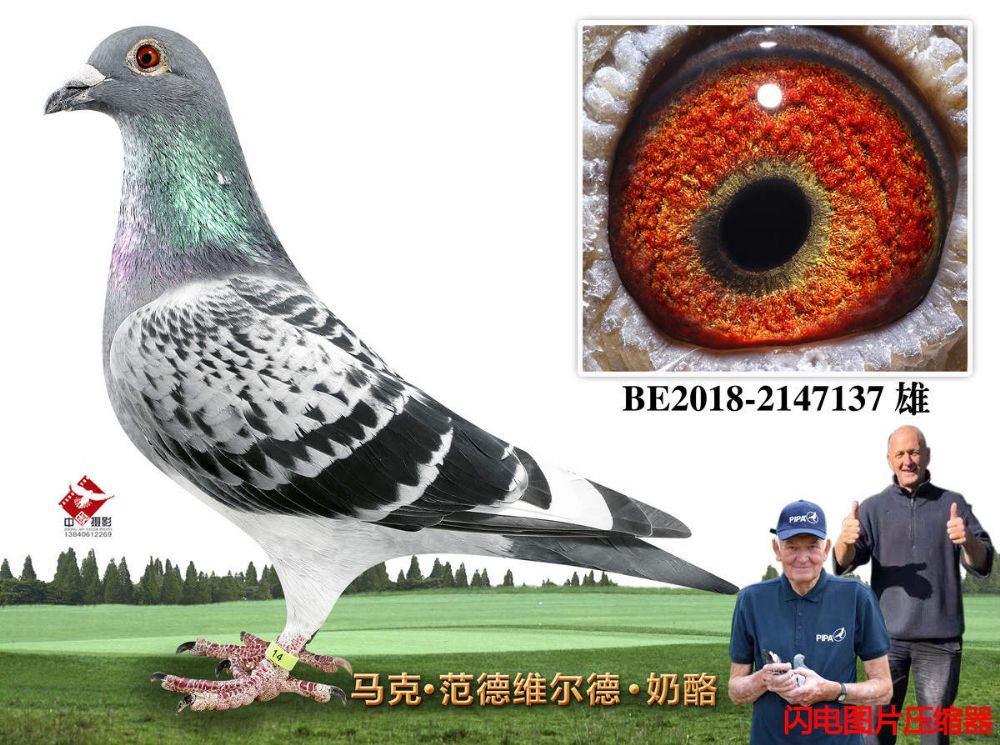 9-BE2018-2147137