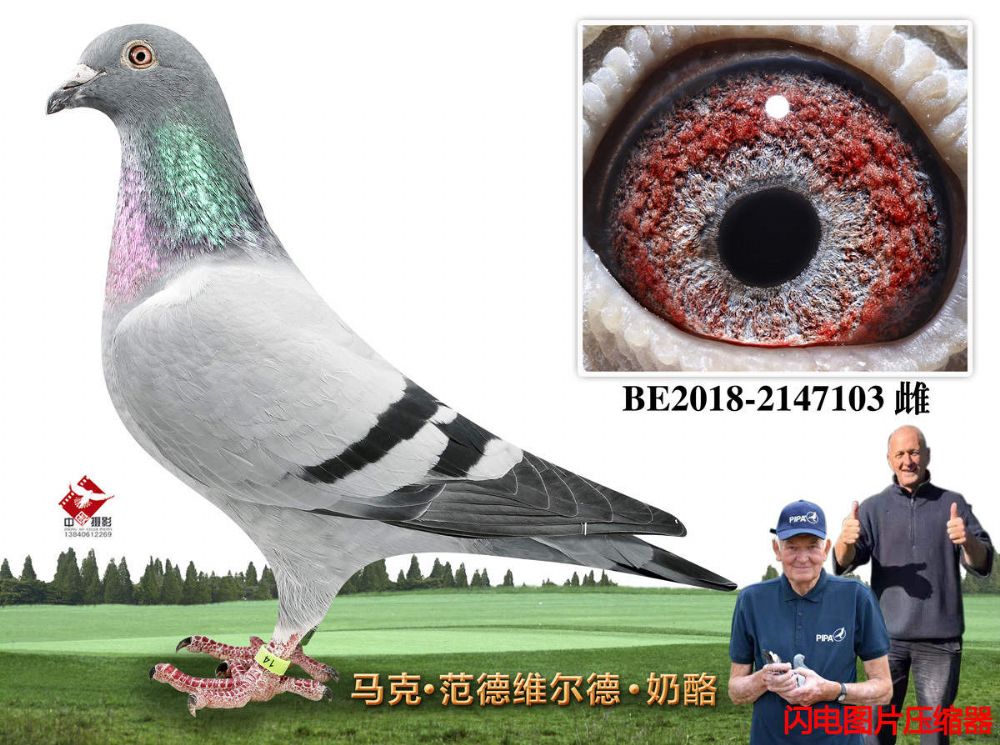 10-BE2018-2147103